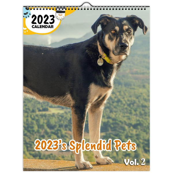 2023's Splendid Pets Volume Two: 2023 Wall Calendar