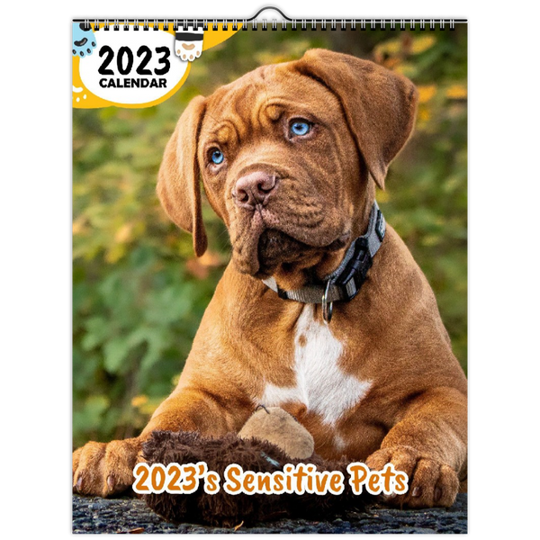 2023's Sensitive Pets: 2023 Wall Calendar