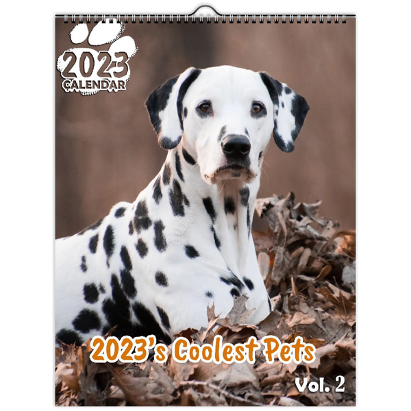 2023's Coolest Pets Volume Two: 2023 Wall Calendar