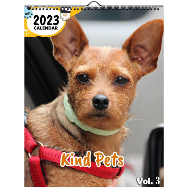 Kind Pets Volume Three: 2023 Wall Calendar