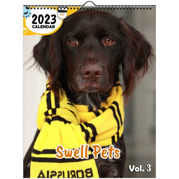 Swell Pets Volume Three: 2023 Wall Calendar