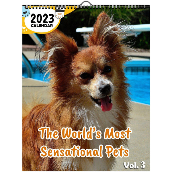 The World's Most Sensational Pets Volume Three: 2023 Wall Calendar