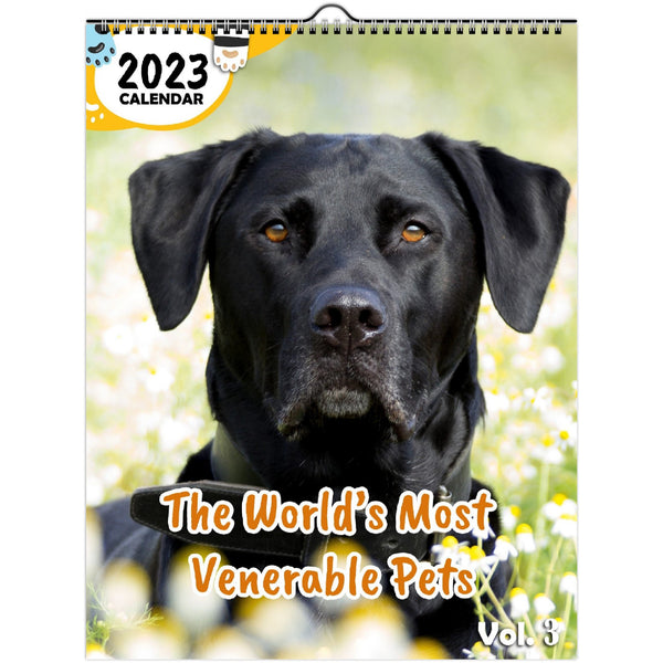 The World's Most Venerable Pets Volume Three: 2023 Wall Calendar