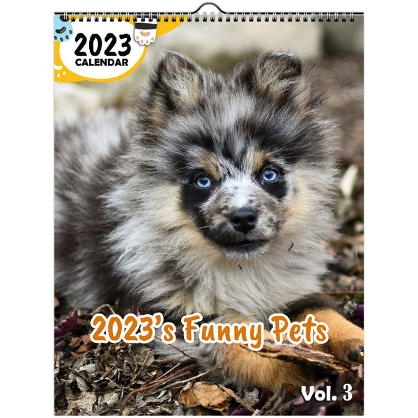 2023's Funny Pets Volume Three: 2023 Wall Calendar