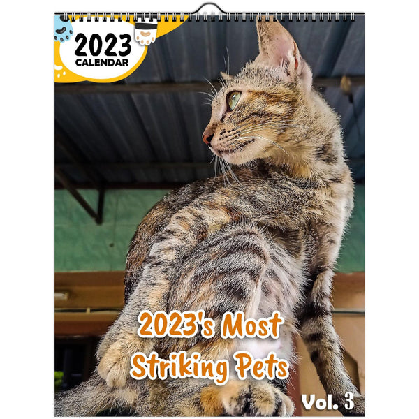 2023's Most Striking Pets Volume Three: 2023 Wall Calendar
