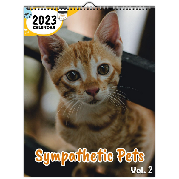 Sympathetic Pets Volume Two: 2023 Wall Calendar