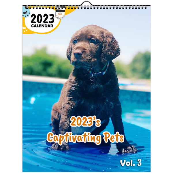 2023's Captivating Pets Volume Three: 2023 Wall Calendar