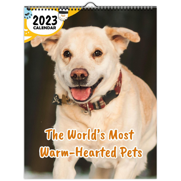 The World's Most Warm-Hearted Pets: 2023 Wall Calendar