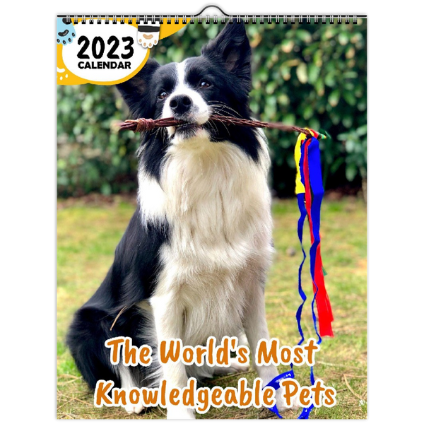 The World's Most Knowledgeable Pets: 2023 Wall Calendar