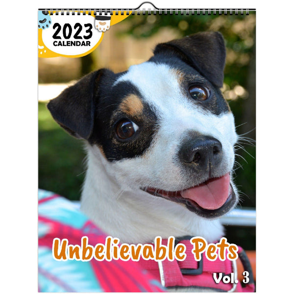 Unbelievable Pets Volume Three: 2023 Wall Calendar