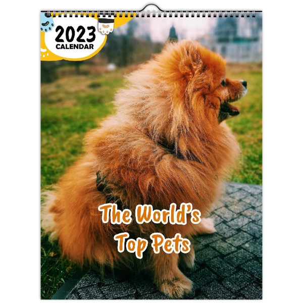 The World's Top Pets: 2023 Wall Calendar