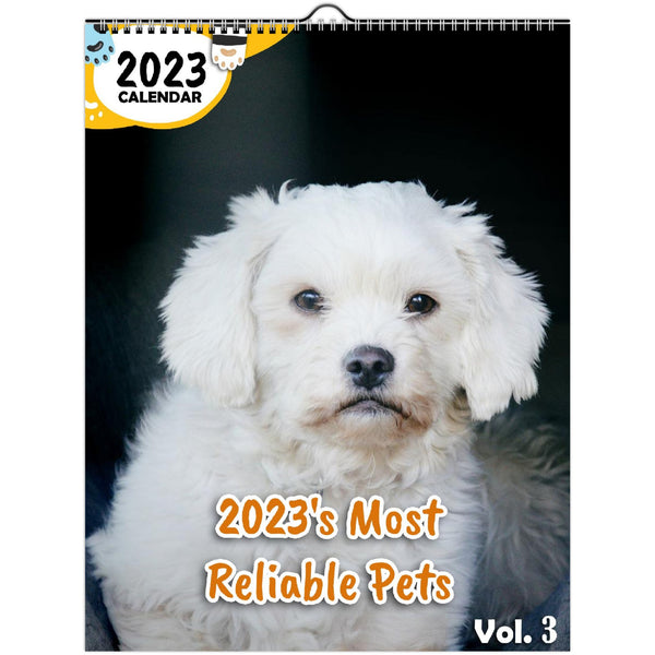 2023's Most Reliable Pets Volume Three: 2023 Wall Calendar