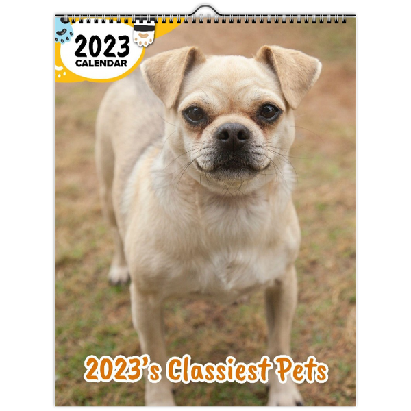 2023's Classiest Pets: 2023 Wall Calendar