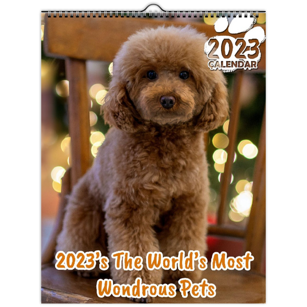 2023's The World's Most Wondrous Pets: 2023 Wall Calendar