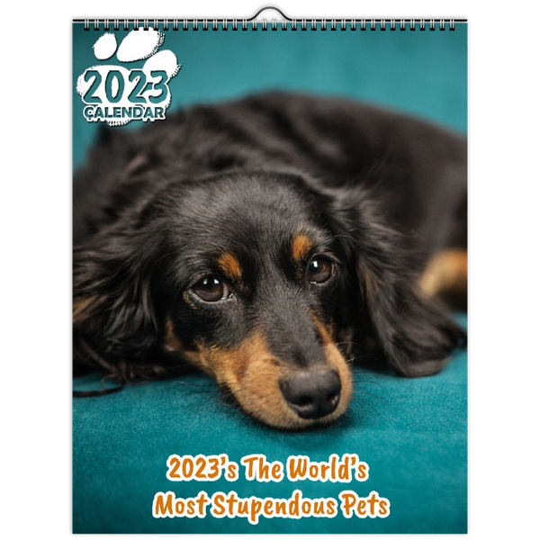2023's The World's Most Stupendous Pets: 2023 Wall Calendar