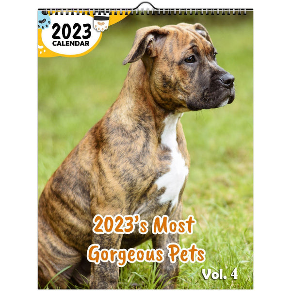 2023's Most Gorgeous Pets Volume Four: 2023 Wall Calendar