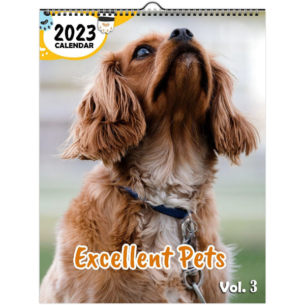 Excellent Pets Volume Three: 2023 Wall Calendar