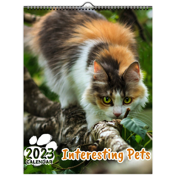 Interesting Pets: 2023 Wall Calendar