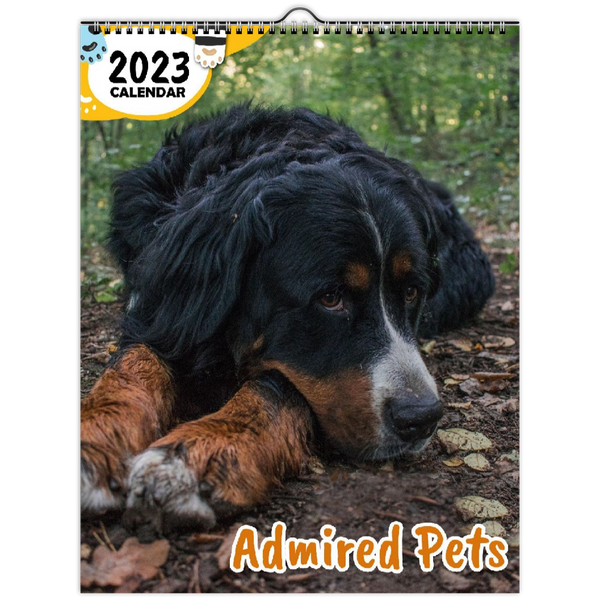 Admired Pets: 2023 Wall Calendar