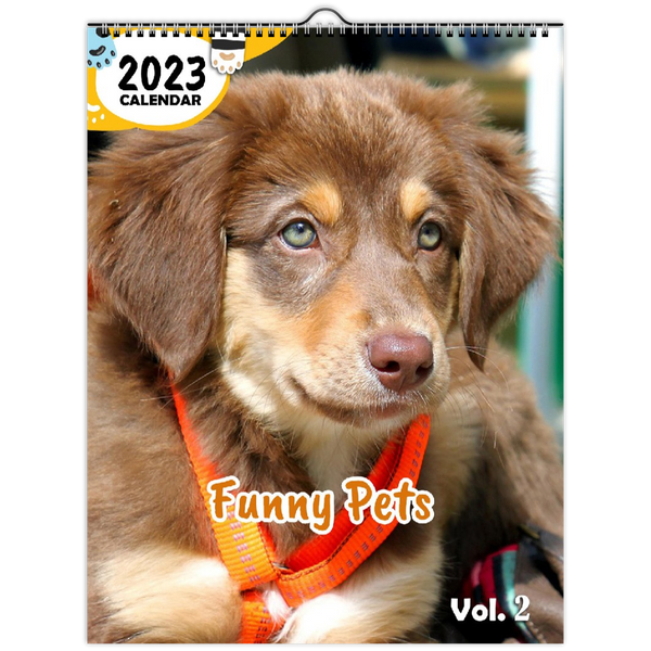 Funny Pets Volume Two: 2023 Wall Calendar