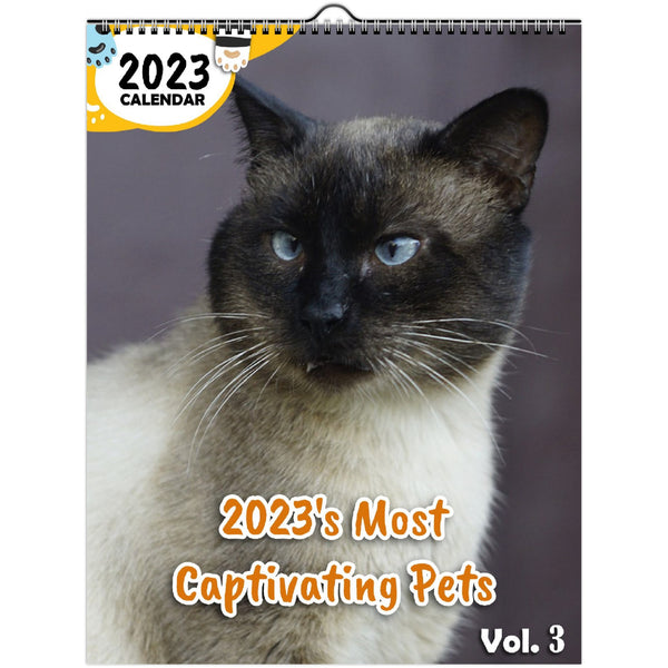 2023's Most Captivating Pets Volume Three: 2023 Wall Calendar