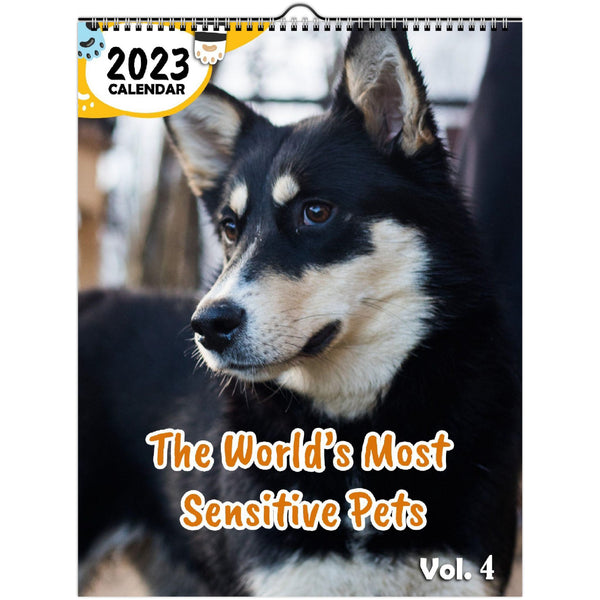 The World's Most Sensitive Pets Volume Four: 2023 Wall Calendar