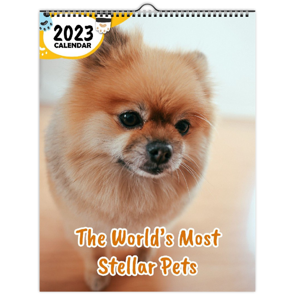 The World's Most Stellar Pets: 2023 Wall Calendar