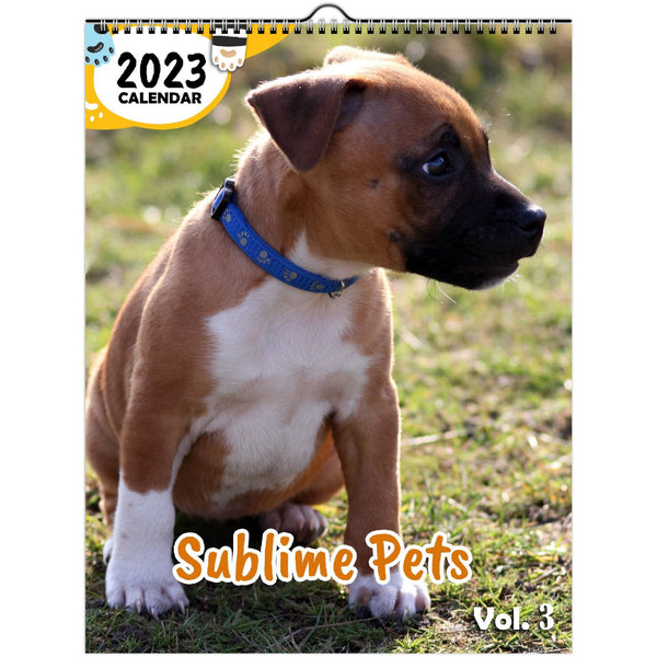 Sublime Pets Volume Three: 2023 Wall Calendar