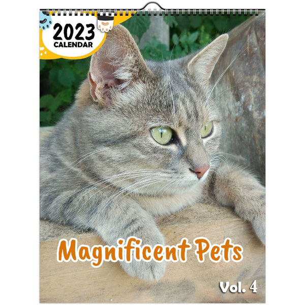 Magnificent Pets Volume Four: 2023 Wall Calendar