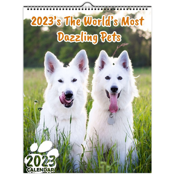 2023's The World's Most Dazzling Pets: 2023 Wall Calendar