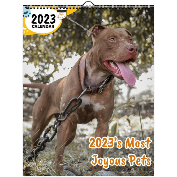 2023's Most Joyous Pets: 2023 Wall Calendar