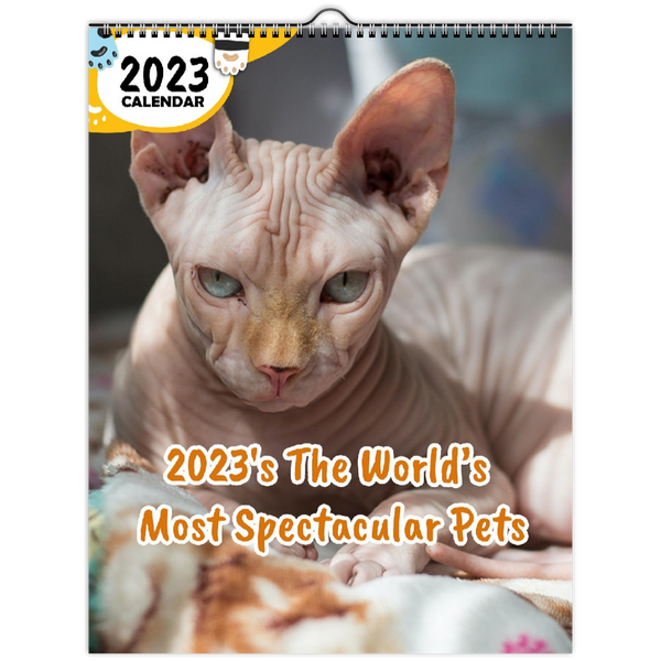 2023's The World's Most Spectacular Pets: 2023 Wall Calendar