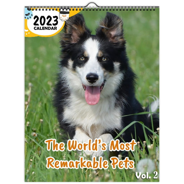 The World's Most Remarkable Pets Volume Two: 2023 Wall Calendar