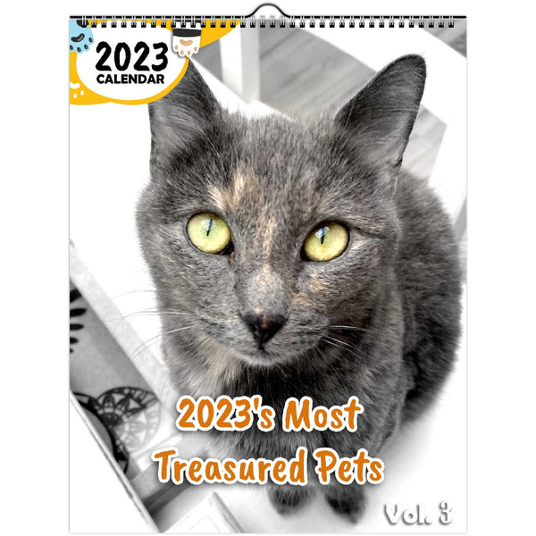 2023's Most Treasured Pets Volume Three: 2023 Wall Calendar