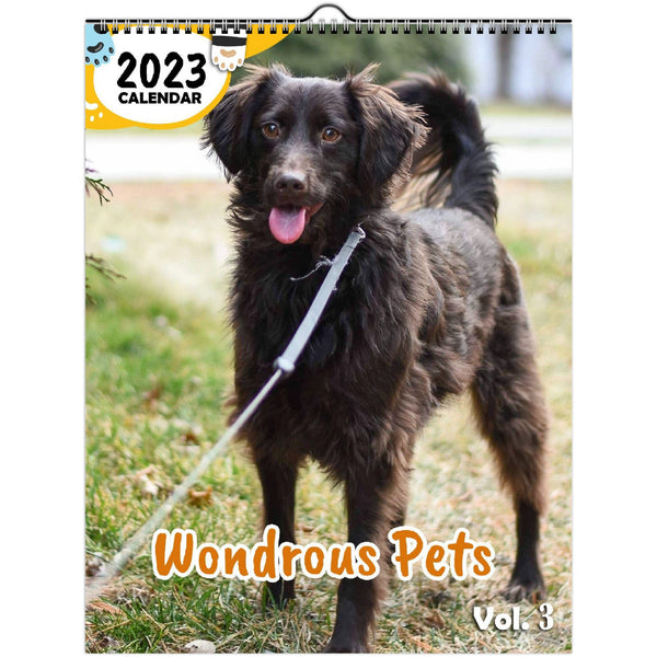 Wondrous Pets Volume Three: 2023 Wall Calendar