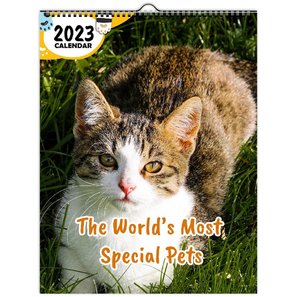 The World's Most Special Pets: 2023 Wall Calendar