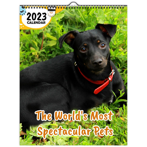 The World's Most Spectacular Pets: 2023 Wall Calendar