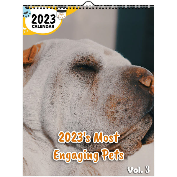 2023's Most Engaging Pets Volume Three: 2023 Wall Calendar