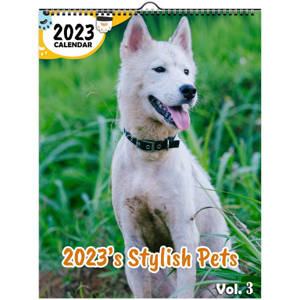 2023's Stylish Pets Volume Three: 2023 Wall Calendar