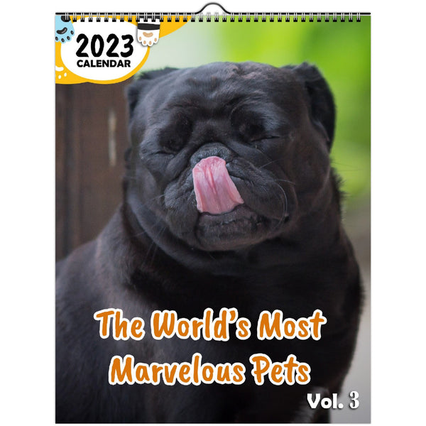 The World's Most Marvelous Pets Volume Three: 2023 Wall Calendar