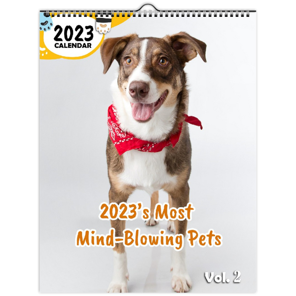 2023's Most Mind-Blowing Pets Volume Two: 2023 Wall Calendar