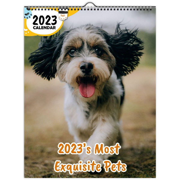 2023's Most Exquisite Pets: 2023 Wall Calendar