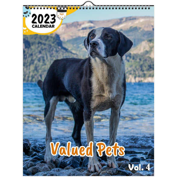 Valued Pets Volume Four: 2023 Wall Calendar