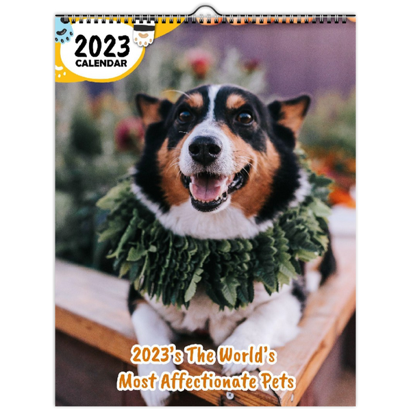 2023's The World's Most Affectionate Pets: 2023 Wall Calendar