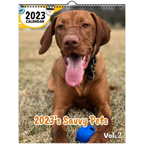 2023's Savvy Pets Volume Two: 2023 Wall Calendar