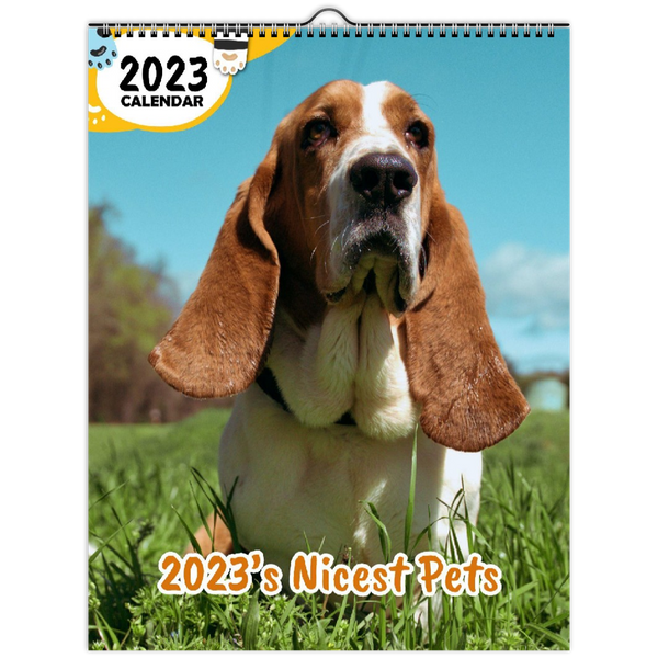 2023's Nicest Pets: 2023 Wall Calendar