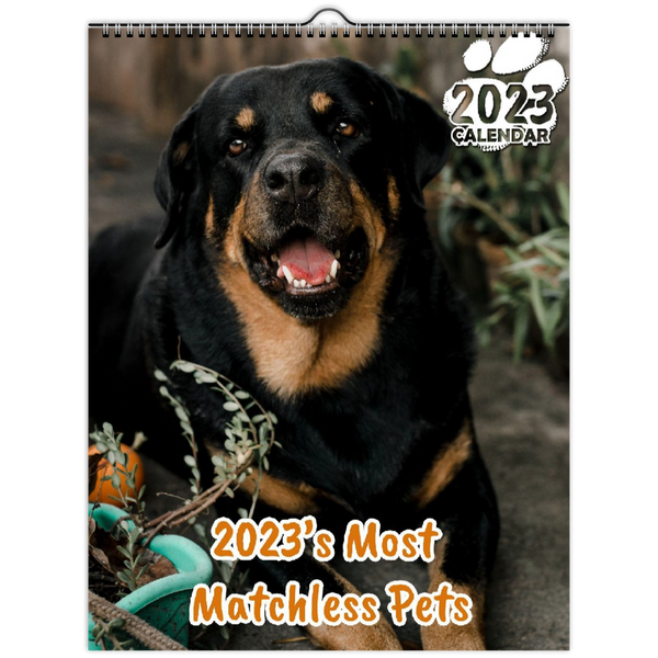 2023's Most Matchless Pets: 2023 Wall Calendar