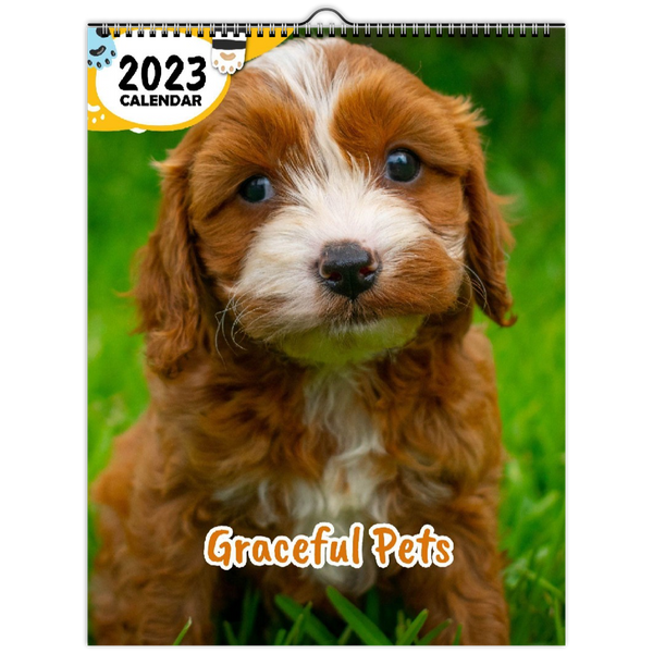 Graceful Pets: 2023 Wall Calendar