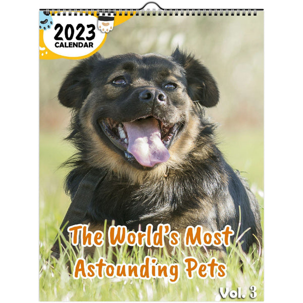 The World's Most Astounding Pets Volume Three: 2023 Wall Calendar