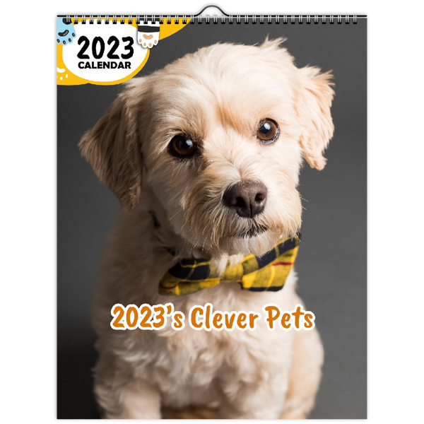 2023's Clever Pets: 2023 Wall Calendar